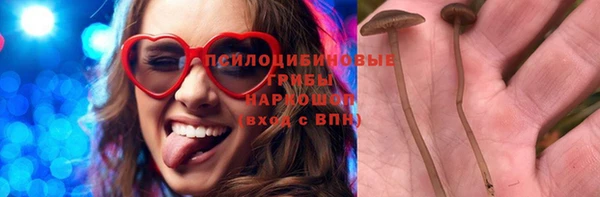 бошки Алексин