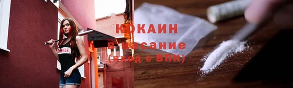 хмурый Алзамай