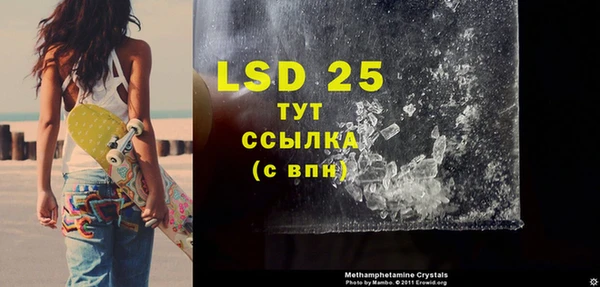 хмурый Алзамай