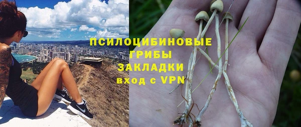 хмурый Алзамай
