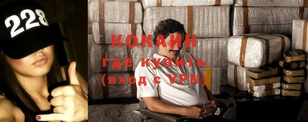 бошки Алексин