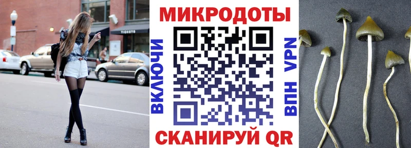 Галлюциногенные грибы Psilocybe  Медынь 